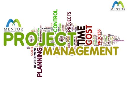 project-management-system-mentor-performance